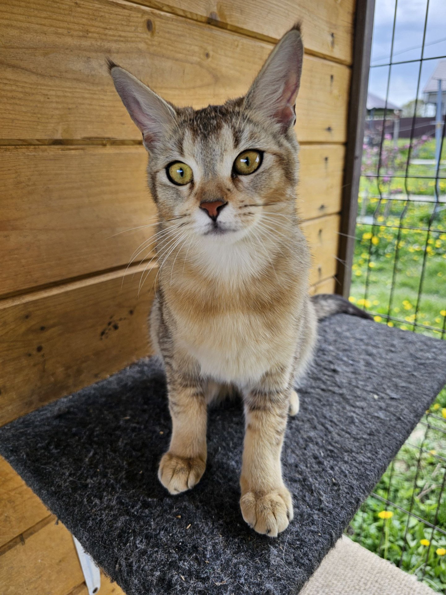 Карамелька